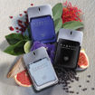 Picture of BUGATTI SIGNATURE GREY FOR MEN 100ML